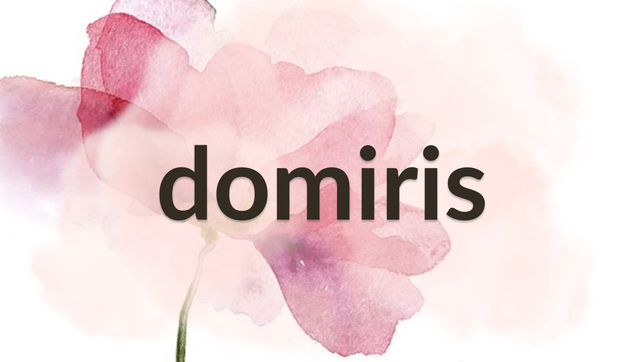 domiris Tagesbetreuung für Seniorinnen und Senioren